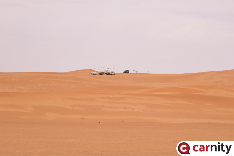 DSC_0393.jpg