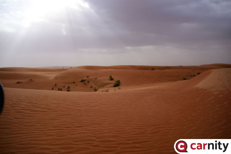 DSC_7930.jpg