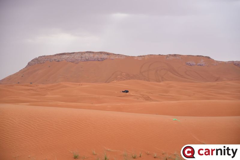 DSC_7958.jpg