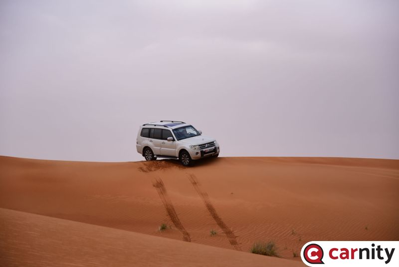 DSC_7959.jpg