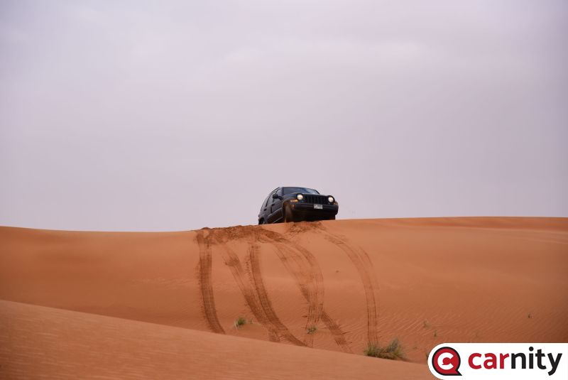 DSC_7963.jpg