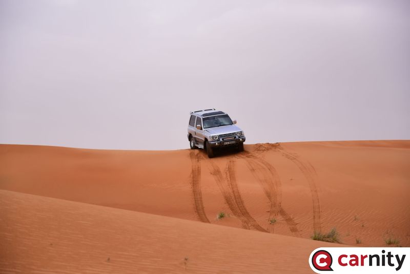 DSC_7964.jpg