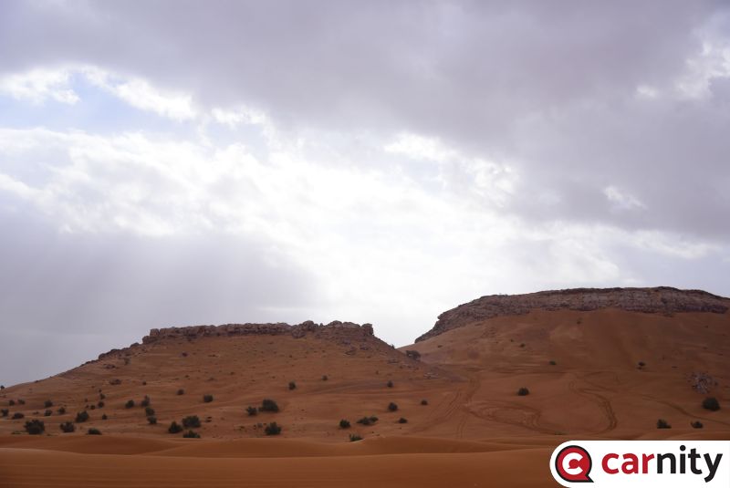 DSC_7968.jpg