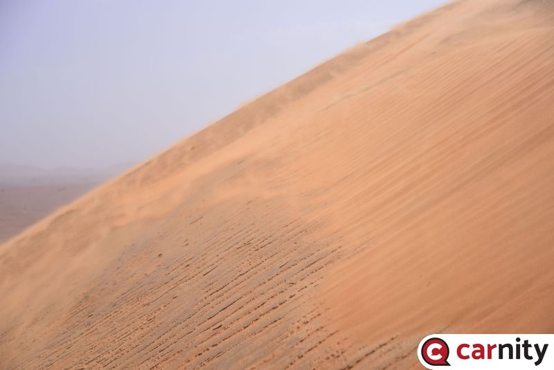 DSC_8000.jpg