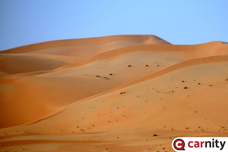 DSC_3250.jpg
