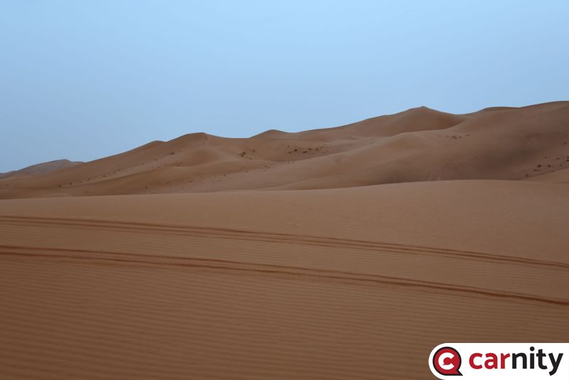 DSC_3334.jpg