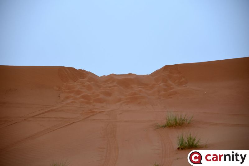 DSC_3337.jpg