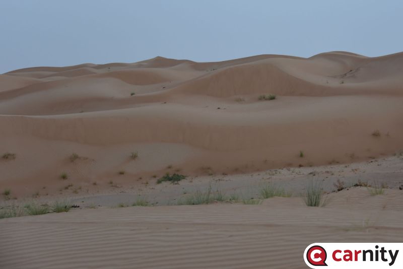 DSC_3412.jpg