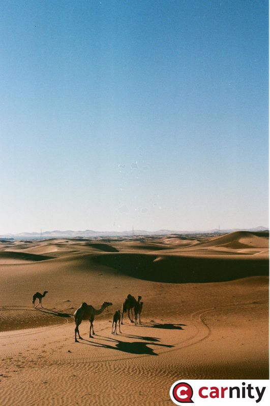 Desert Sweihan - 22 dec 2017