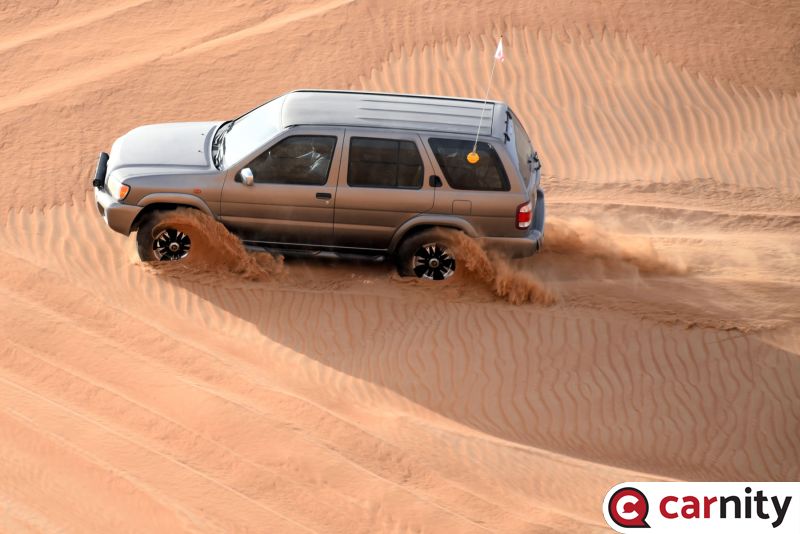DSC_0165.jpg