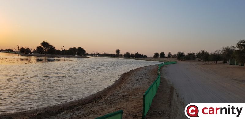 20181109_172005.jpg