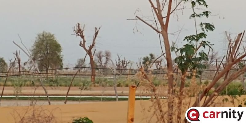 20181109_172412.jpg