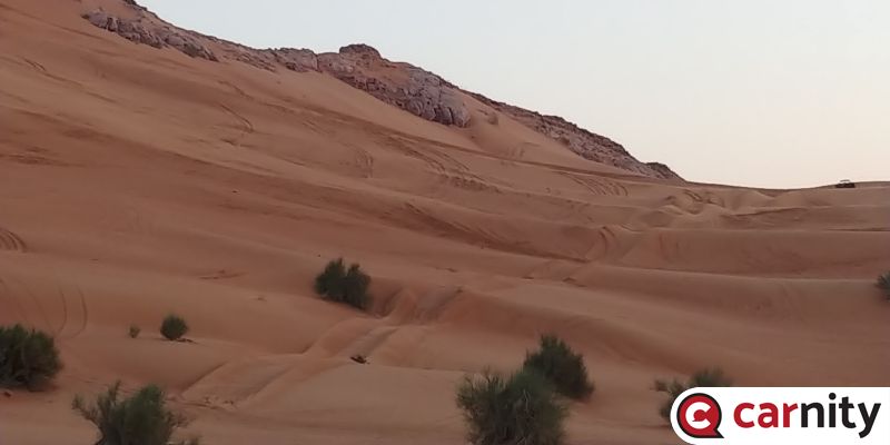 20181130_172017.jpg