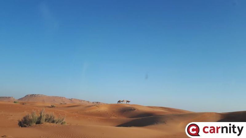 IMG-20181130-WA0076.jpg