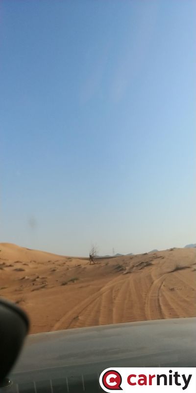 20181207_085114.jpg