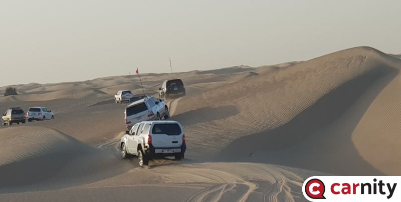 20190203_164951.jpg