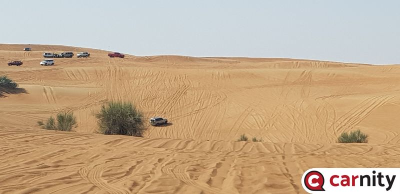 20190222_093234.jpg