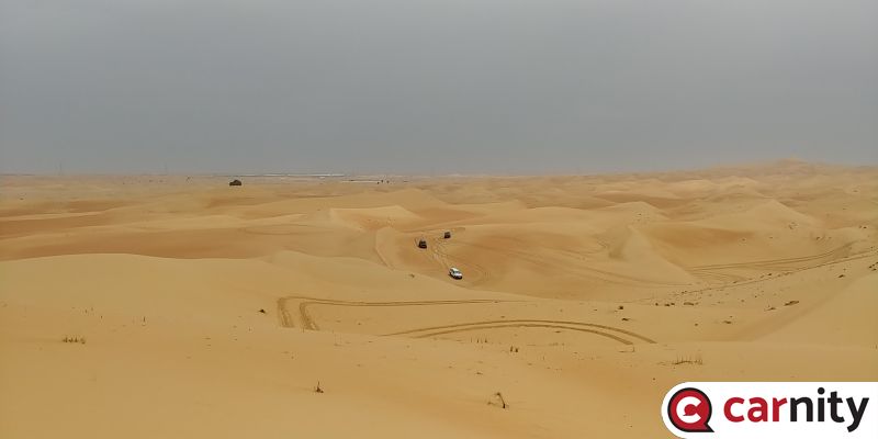 20190315_113435.jpg