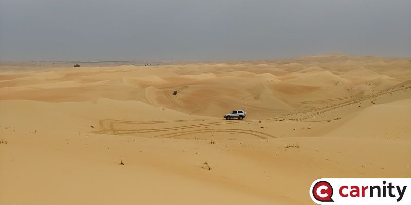 20190315_113542.jpg