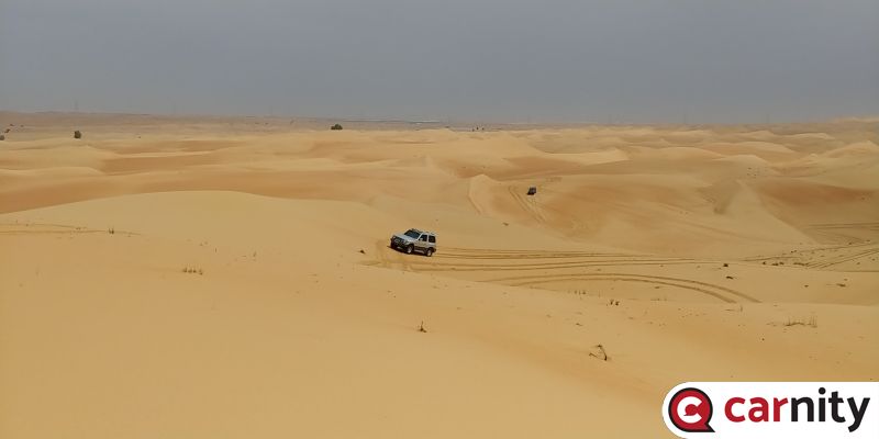 20190315_113545.jpg