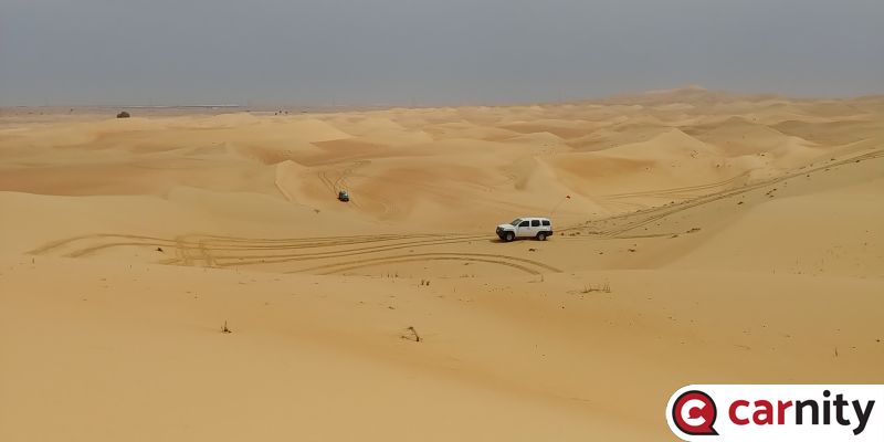 20190315_113558.jpg