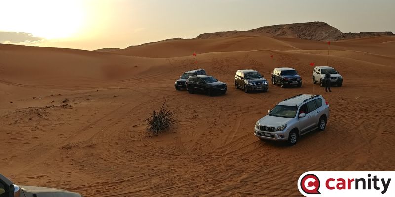 20190405_180803_HDR.jpg