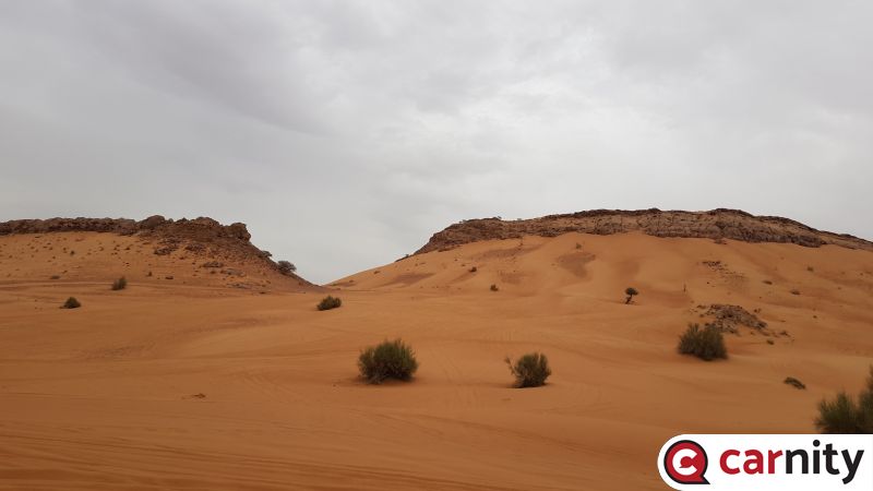 20190412_155632.jpg