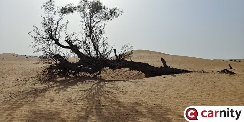 20190419_075801_HDR.jpg