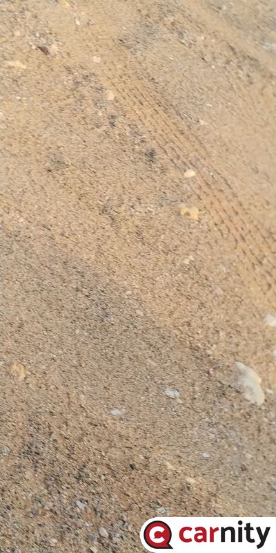 20190906_064503.jpg