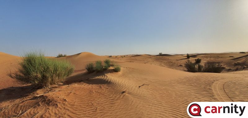20190920_072457.jpg