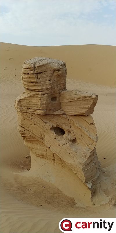 20190927_075644.jpg