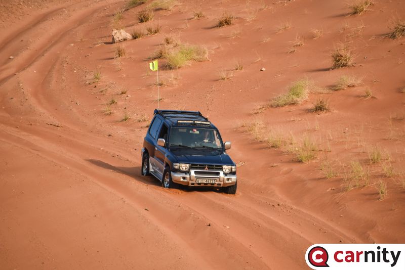 DSC_6313.jpg