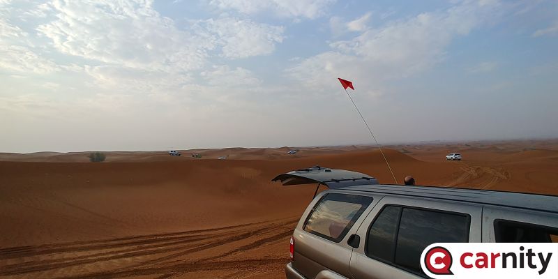 20191011_070929_HDR.jpg