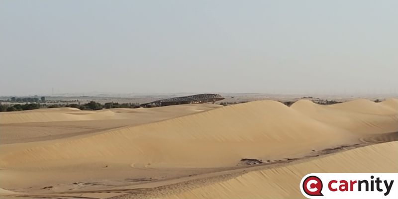 20191108_080145.jpg