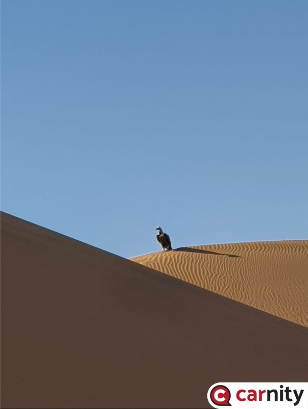 Screenshot_20191116-111944_Gallery.jpg