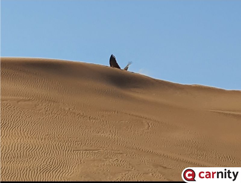 Screenshot_20191116-112004_Gallery.jpg