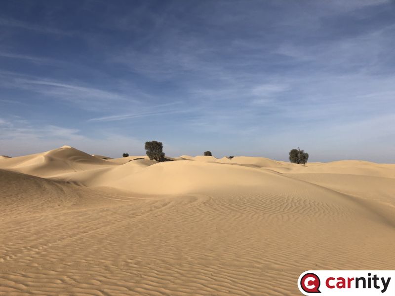 A4EC6719-70B3-4678-B103-BA6D6886E165.jpeg