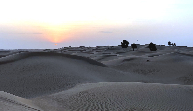Newbie Desert Drive - Al Qudra - 21 Feb 2020