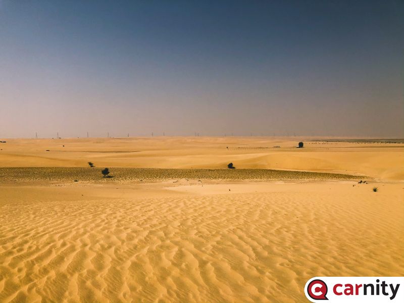 99525948-6BD0-4C79-95B0-A35D2BE5E16D.JPEG