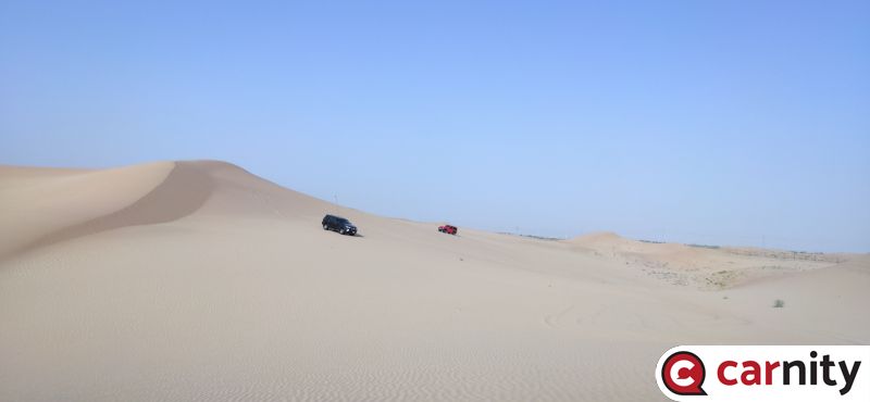 IMG20200724075007.jpg