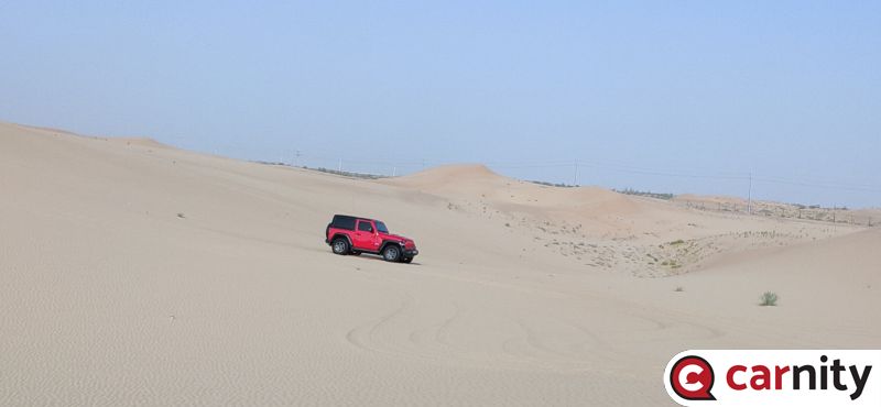 IMG20200724075018.jpg