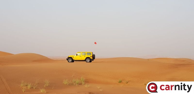 3B216579-A735-41D3-8D27-07485F692D68.jpeg