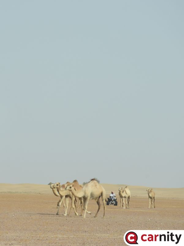 DSC_5892.JPG