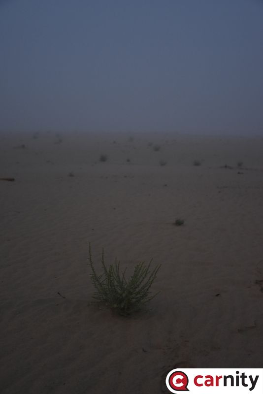 gearDSC_6005.JPG