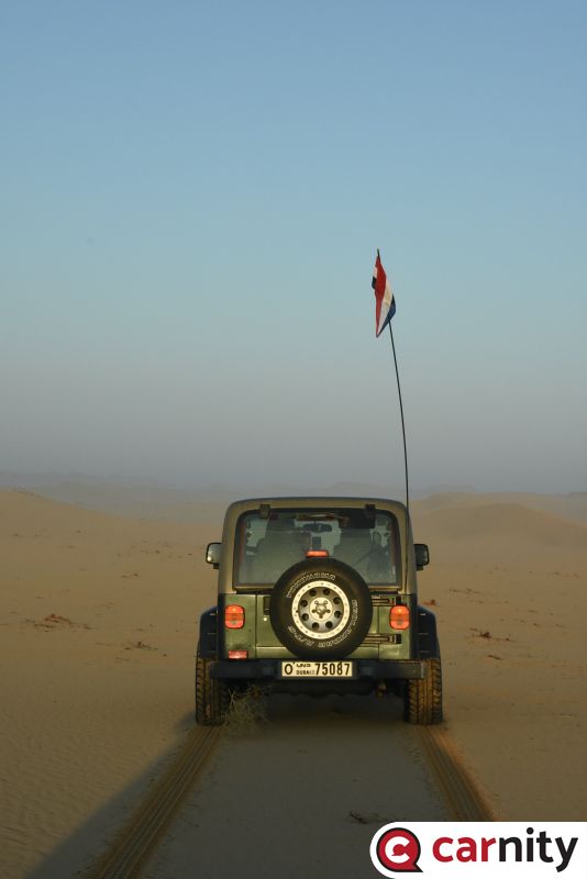 gearDSC_6019.JPG