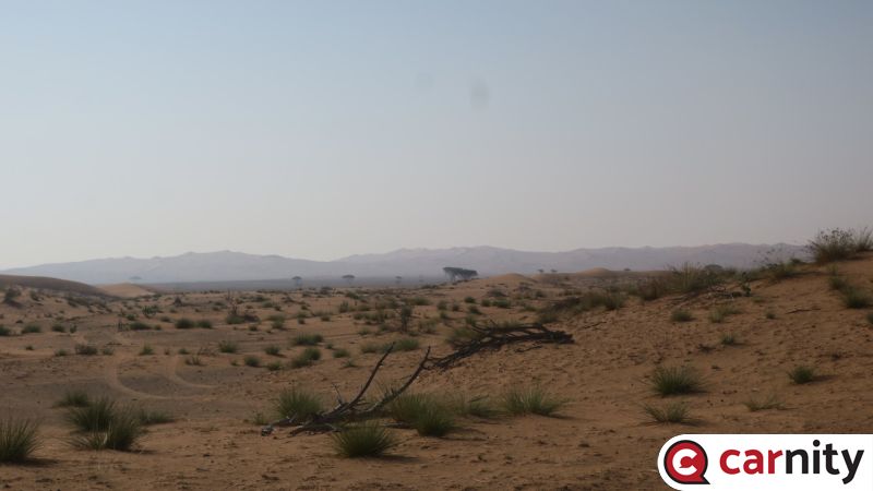 IMG_4398_Easy-Resize.com.jpg