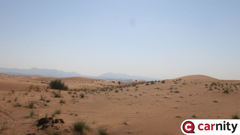 IMG_4430_Easy-Resize.com.jpg