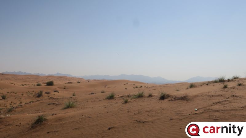 IMG_4431_Easy-Resize.com.jpg