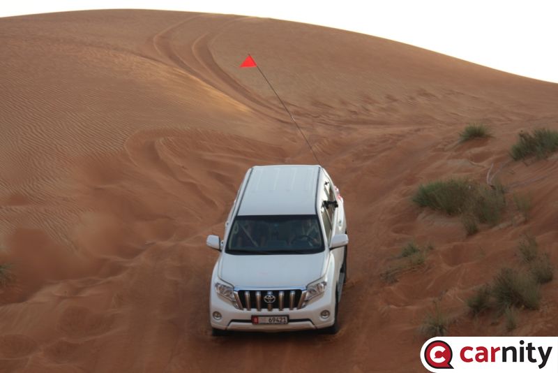 Fewbie -  Suwaydan to Faya - Sharjah - 13 Nov 2020