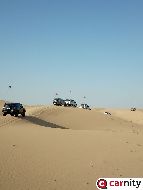 IMG_20201121_083132.jpg